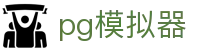 pg模拟器